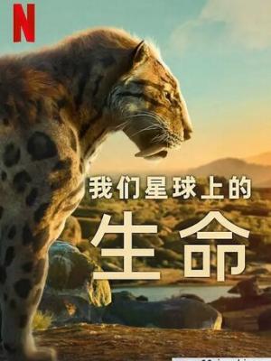 捅主任前传·夜巡 榜单封面